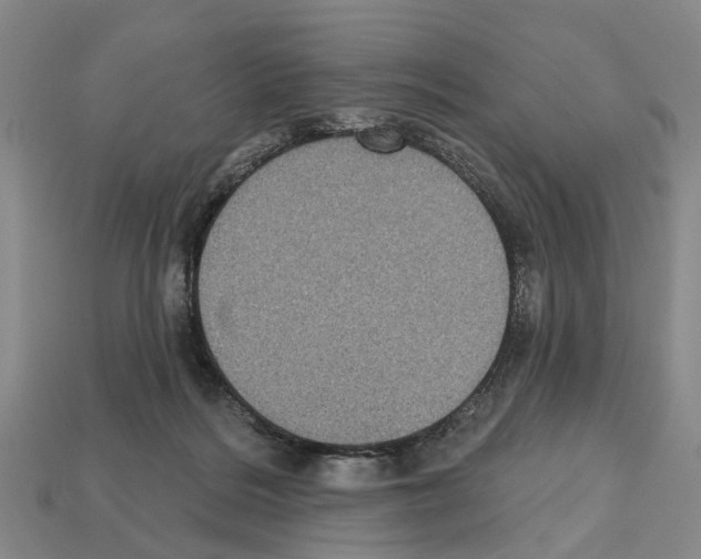 X0000112520220200909281023