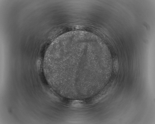 X0000112520222200909281023