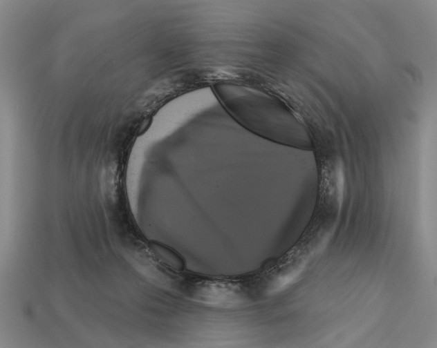 X0000112520223200909281023