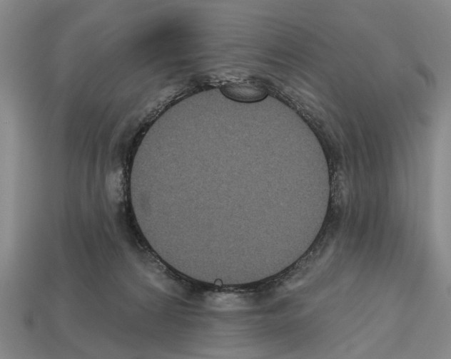 X0000112520224200909281023