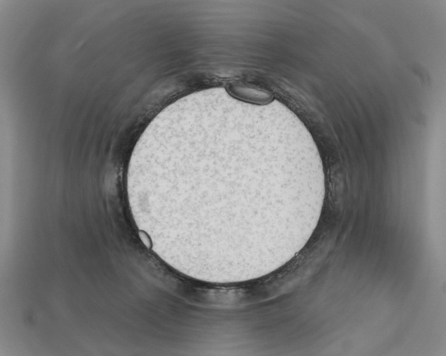 X0000112520225200909281023