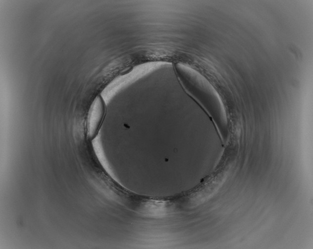 X0000112520227200909281023