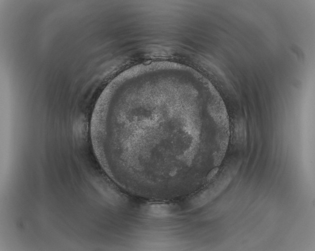 X0000112520228200909281023