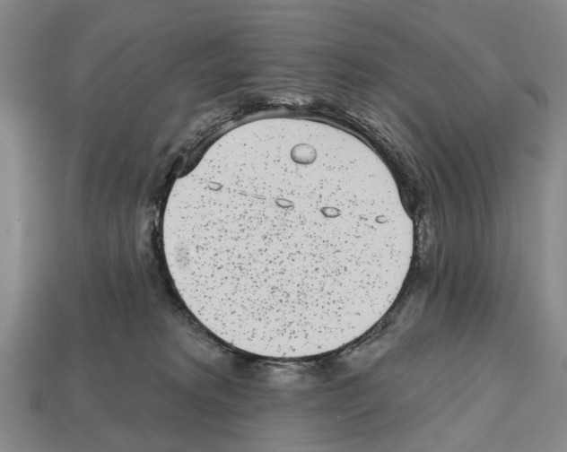 X0000112520229200909281023