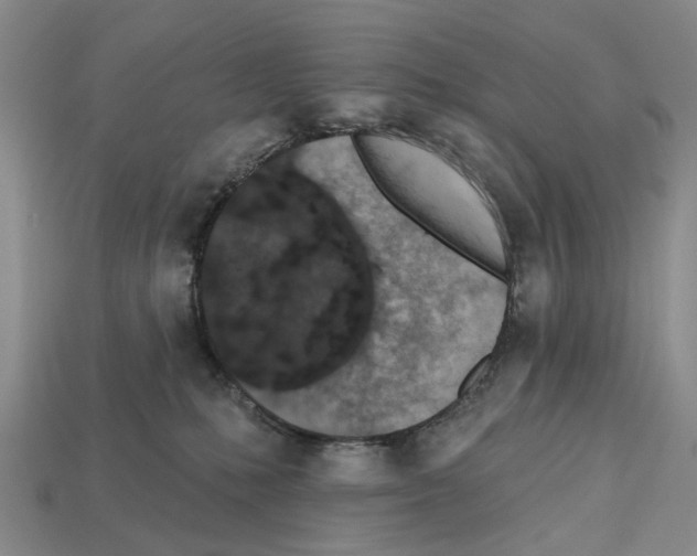 X0000112520231200909281023