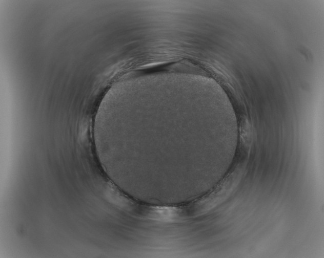 X0000112520233200909281023
