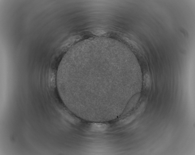 X0000112520234200909281023