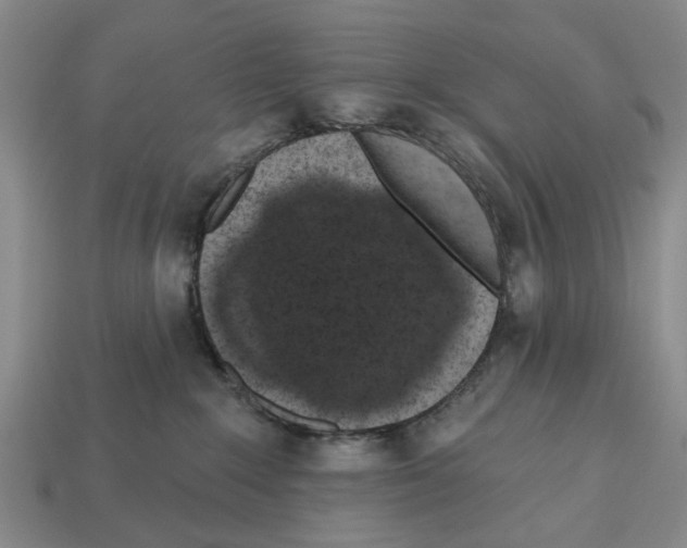 X0000112520235200909281023
