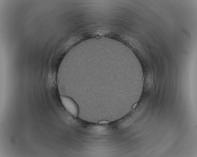 X0000112520236200909281023