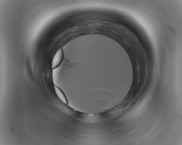X0000112520239200909281023