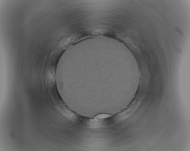 X0000112520240200909281023
