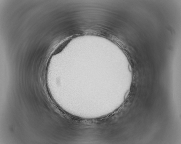 X0000112520241200909281022