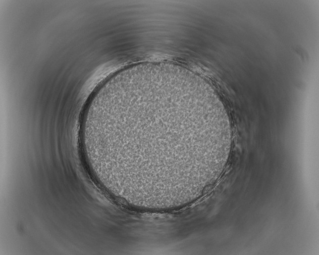 X0000112520242200909281022