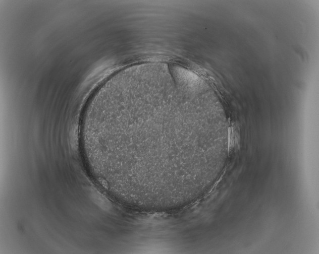 X0000112520243200909281023