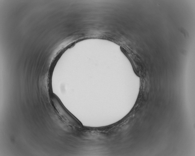 X0000112520244200909281023