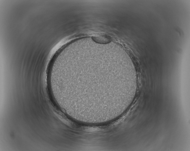 X0000112520246200909281023