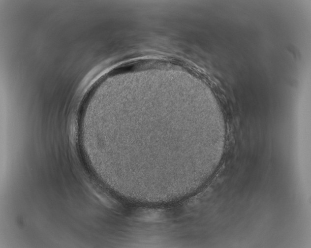 X0000112520247200909281023