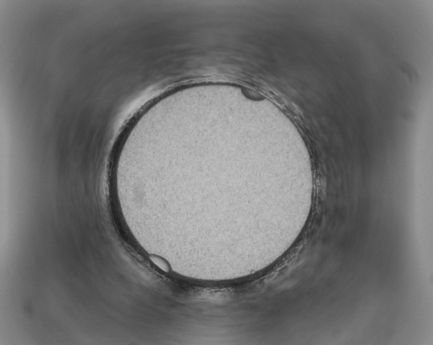 X0000112520248200909281023