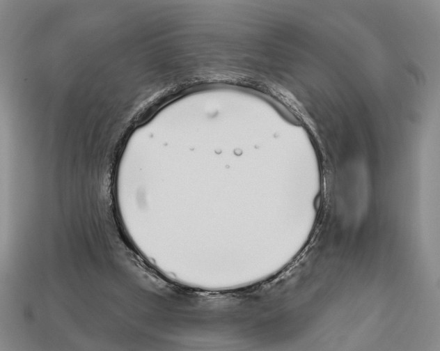 X0000112520249200909281023