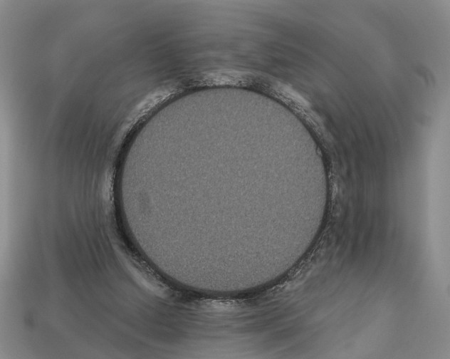 X0000112520250200909281023