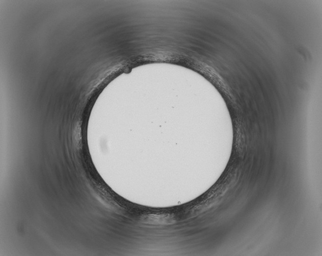 X0000112520251200909281023