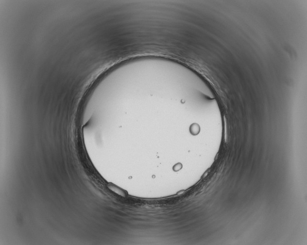 X0000112520252200909281023