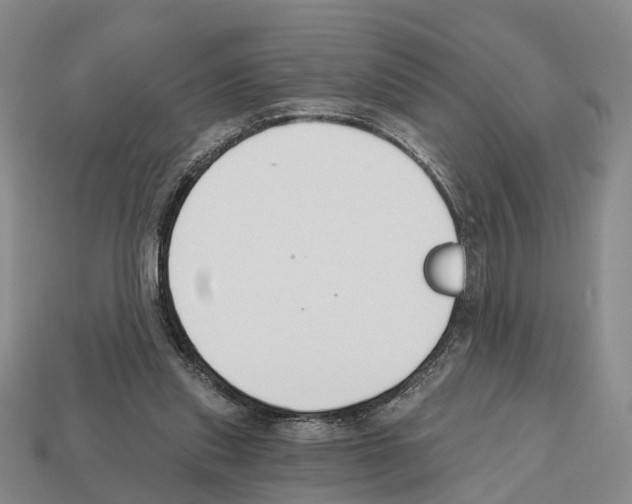 X0000112520253200909281023