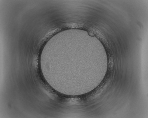 X0000112520255200909281023