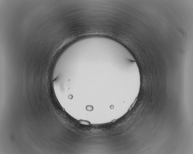 X0000112520256200909281023