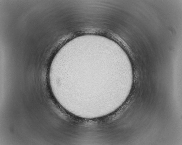 X0000112520257200909281023