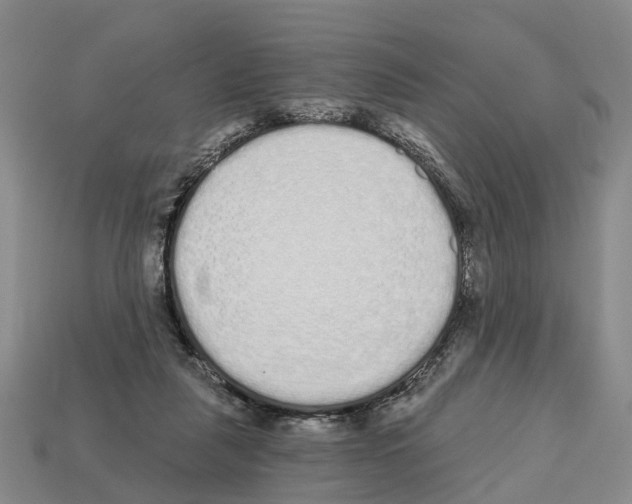 X0000112520259200909281023