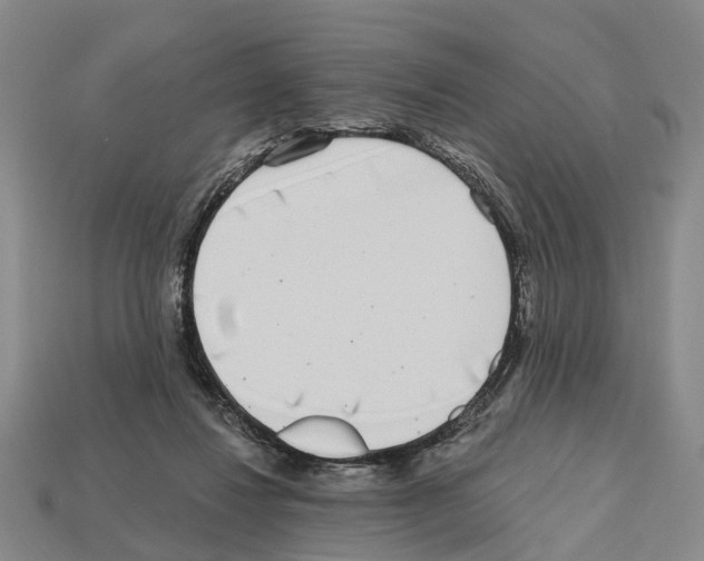 X0000112520260200909281023