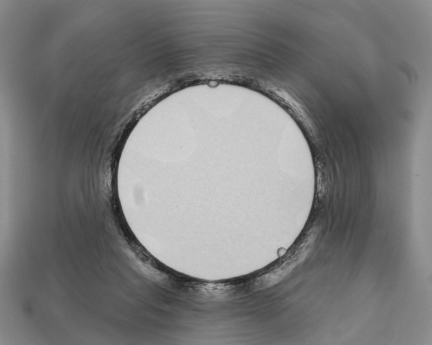 X0000112520261200909281023