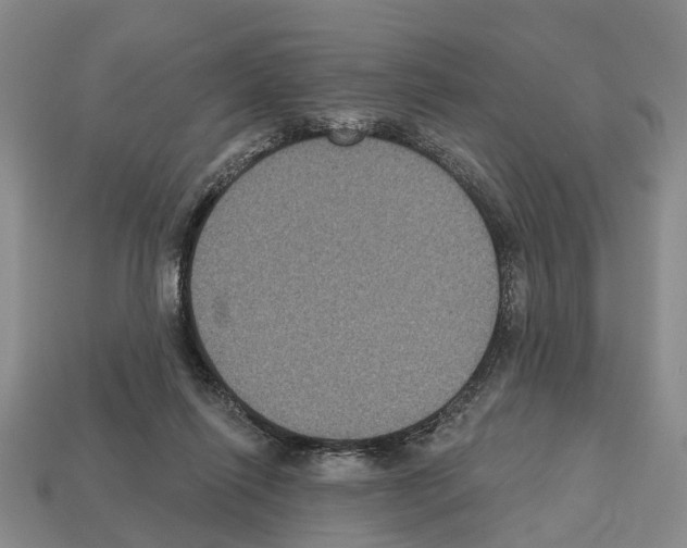 X0000112520262200909281023