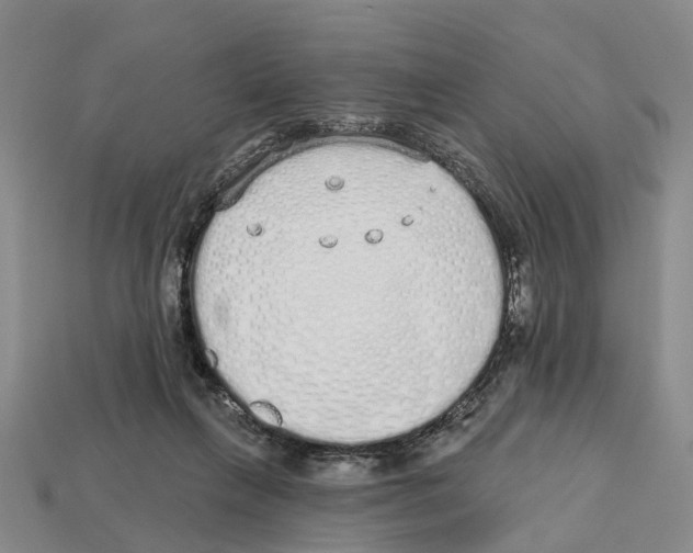 X0000112520263200909281023