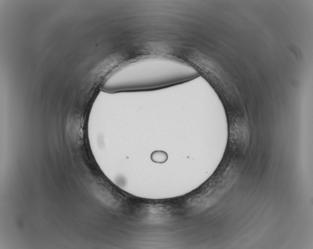 X0000112520264200909281023