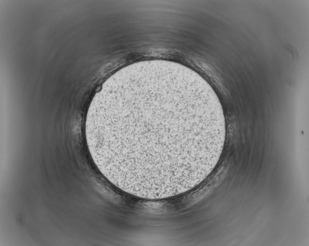 X0000112520265200909281023