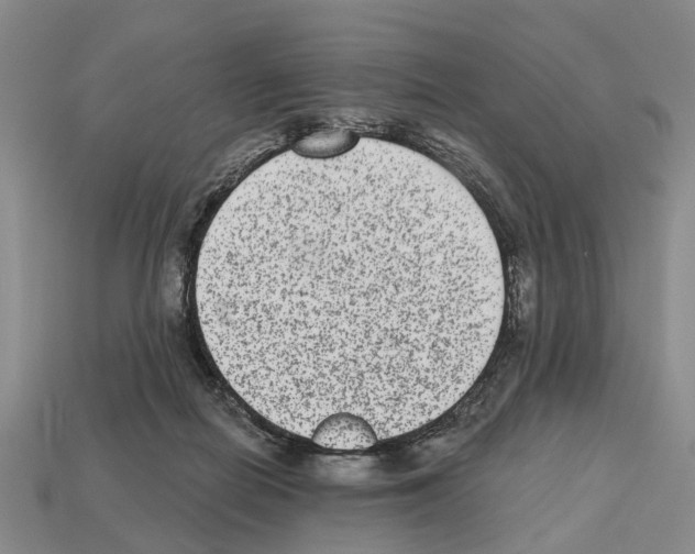 X0000112520266200909281023