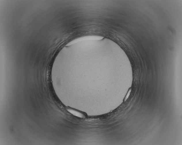 X0000112520268200909281023
