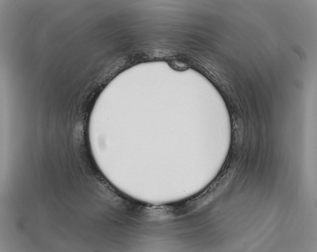 X0000112520269200909281023