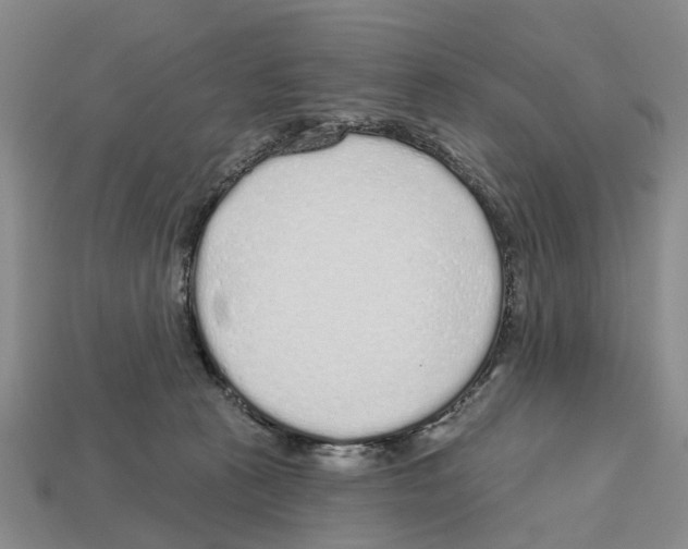 X0000112520273200909281023