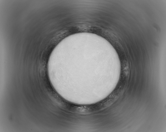 X0000112520275200909281023