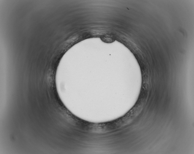 X0000112520277200909281023