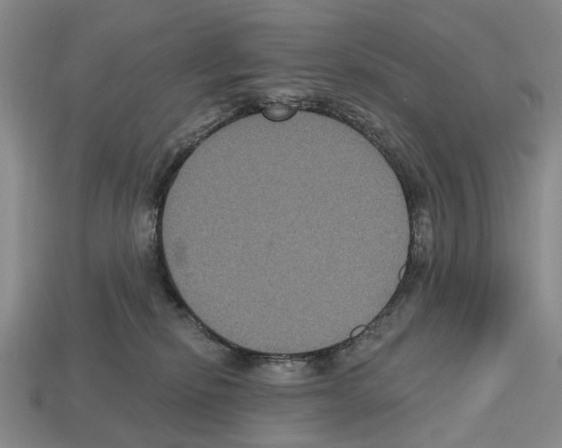 X0000112520278200909281023