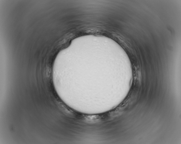 X0000112520281200909281023