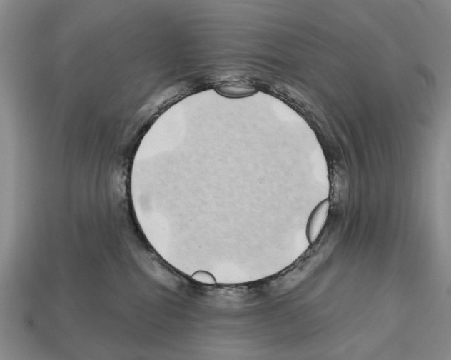 X0000112520282200909281023
