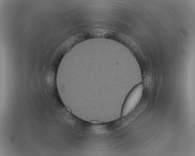 X0000112520283200909281023