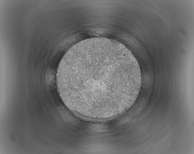 X0000112520284200909281023