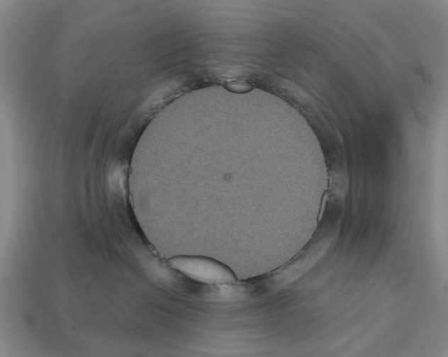 X0000112520286200909281023
