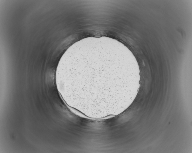 X0000112520288200909281023